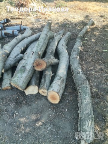 Орехов материал , снимка 3 - Дърводелски услуги - 34289041