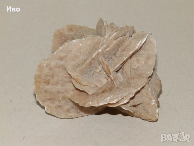 Голям къс минерал пустинна роза