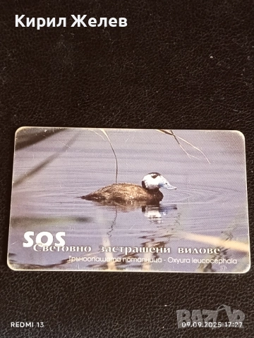 Три фонокарти МОБИКА тема ЖИВОТНИ БАЛКАНСКА ЧЕСНОВНИЦА,ЕЛЕНОВ РОГАЧ 47017, снимка 9 - Колекции - 51656788