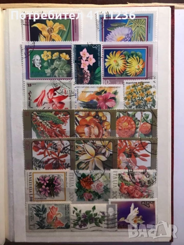 Класьор с марки на тема "Цветя", снимка 14 - Филателия - 53611717