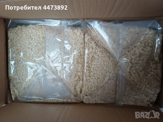 Семки от диня (watermelon seeds) - 1000 kg - налични в Бьлгария