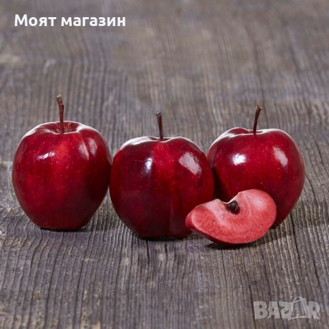 Ябълка Redlove-Sirena, снимка 4 - Градински цветя и растения - 53631761