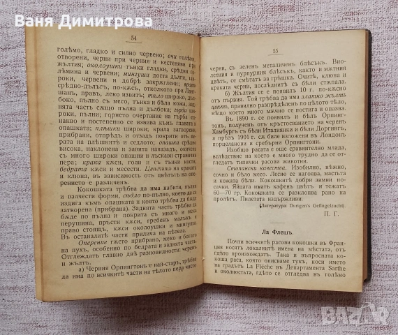 Птицевъденъ календаръ за 1908 год., снимка 8 - Други - 53473079