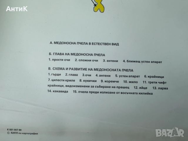 Соц Учебни Плакати Постери Биология, снимка 14 - Антикварни и старинни предмети - 51734458