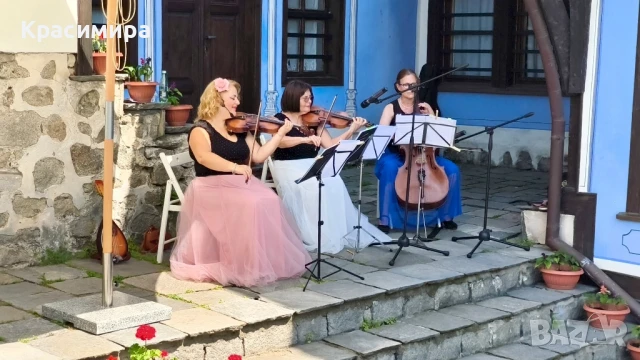 Струнно Трио Амадеус - музика на живо за Вашето изискано тържество 