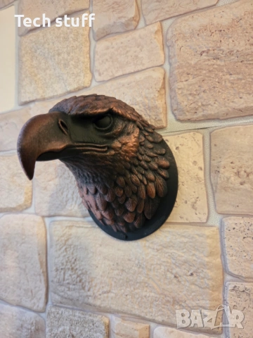 Уникална декоративна глава на орел за стена, снимка 4 - Декорация за дома - 53476934
