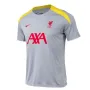 Мъжка тениска Nike Liverpool F.C. Strike Third FQ2611-078, снимка 1