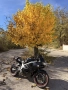 Suzuki Sv650 2001, снимка 1