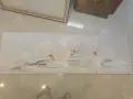 Картина орхидея, голяма, бяла, снимка 1