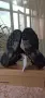 Salomon x 5 ultra Goretex №43 1/3-110евро,Kappa № 42-38евро,Тhimberland № 43-85 евро,ARO №42-20 евро, снимка 6