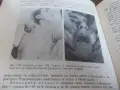 Книга..........., снимка 6