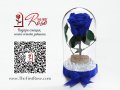 Оригинален Подарък за Жена / Синя Вечна Роза в Стъкленица / Естествена Роза Подарък за Имен Ден, снимка 4