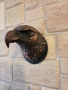 Уникална декоративна глава на орел за стена, снимка 4