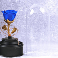 Вълшебна неувяхваща роза в стъкленица с LED светлина. Размер: 8.5 х 18 см; Размер на кутия: 16 х 16 , снимка 3 - Декорация за дома - 44589101
