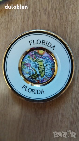 	Красива декоративна чиния от Сащ Флорида, снимка 1