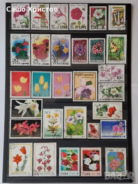 Пощенски марки тема ”Растения”., снимка 1