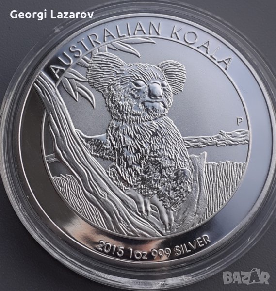 коала от Австралия, снимка 1