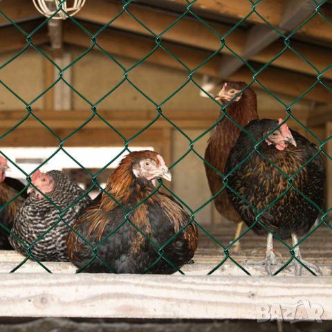 Оградна мрежа / Ограда за животни 1 х 25м DA003, снимка 2 - Огради и мрежи - 38931864