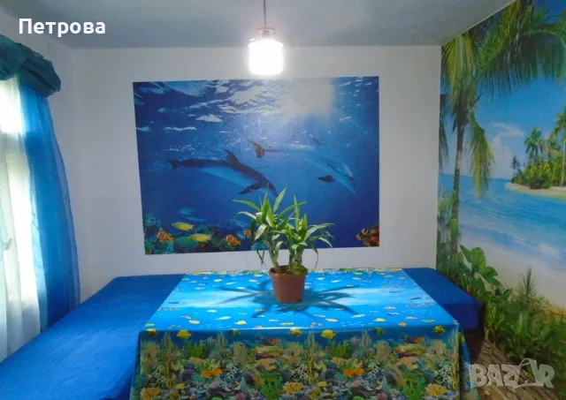 Продавам къща с 2.5 дка двор в село Селановци, снимка 6 - Къщи - 56233421