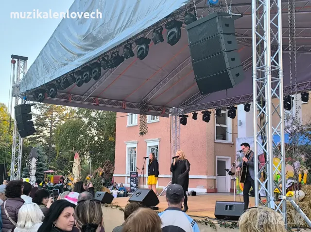 Озвучаване и осветление на високо ниво - Ловеч., снимка 14 - Други - 49318847