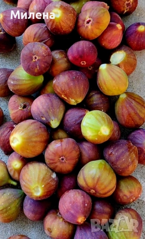 Домашно сладко от узрели смокини , снимка 2 - Градински цветя и растения - 51536542