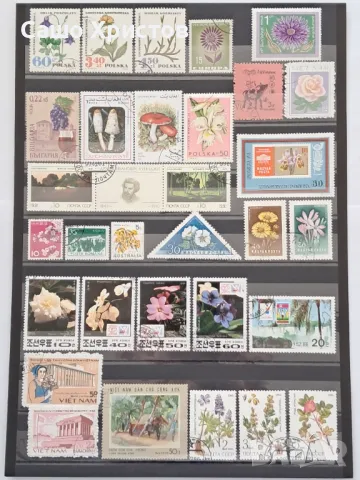 Пощенски марки тема ”Растения”., снимка 6 - Филателия - 49390160