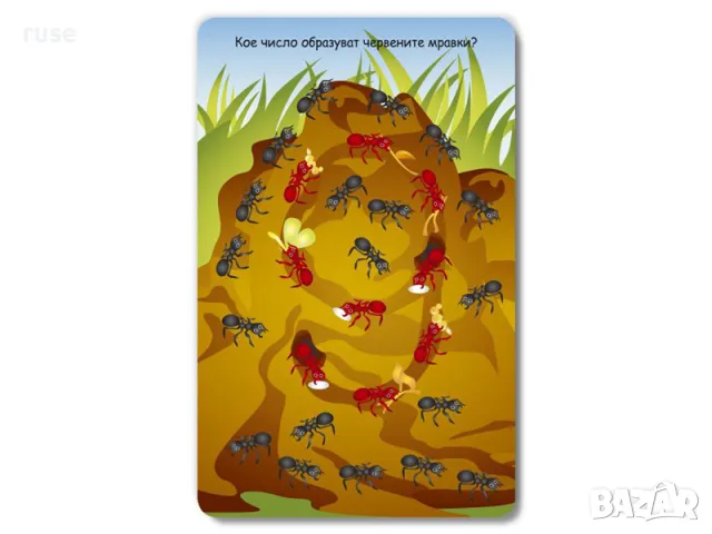 НОВИ! Активни карти 100 игри за природата и числата Клевър бук, снимка 2 - Образователни игри - 50181758