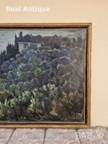 Венко Петров- Пейзаж масло автор платно , снимка 4 - Картини - 49208567