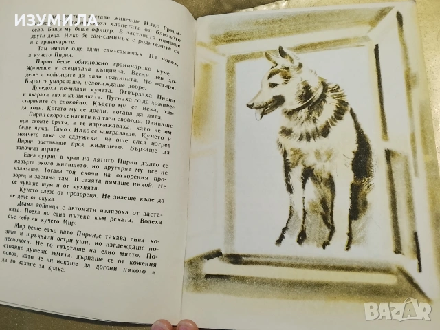 Приключенията на Илко граничарчето - Борис Крумов, снимка 3 - Детски книжки - 53332270