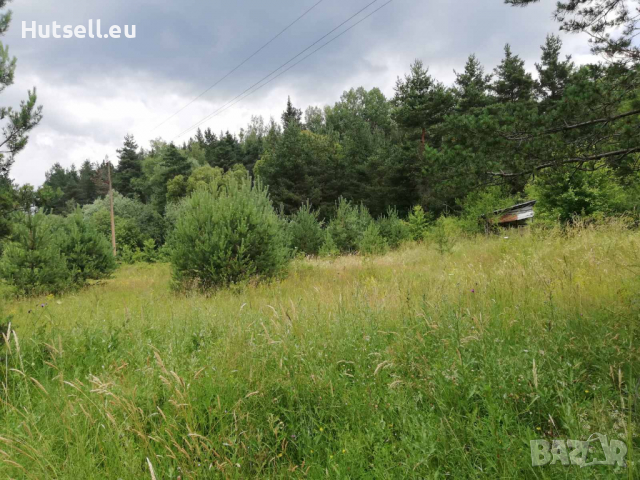 4,6 дка до брега на яз. Искър, снимка 8 - Парцели - 30999840