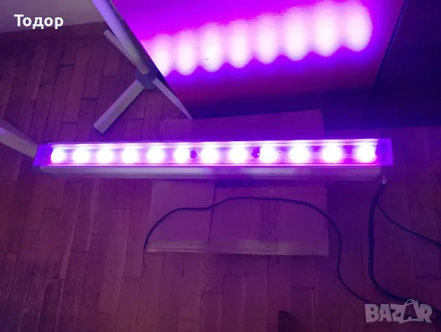 Многоцветни лампи със сменящи се цветове RGB spacecannon bisquit, снимка 2 - Други - 47659243