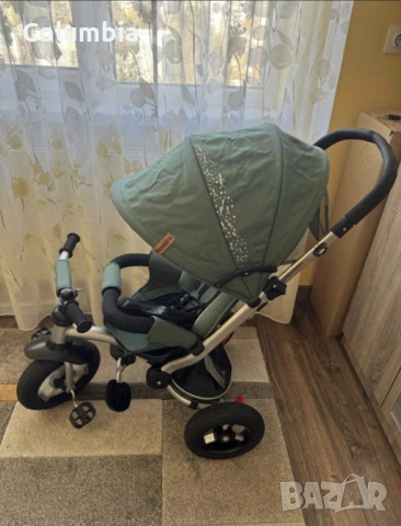 Триколка Chipolino