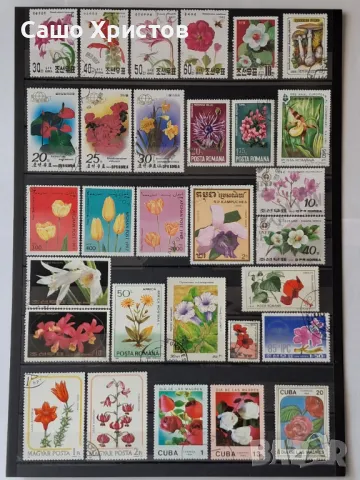 Пощенски марки тема ”Растения”.