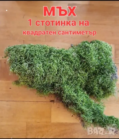 Материали за декорация и дървени шайби , снимка 16 - Декорация за дома - 38644717