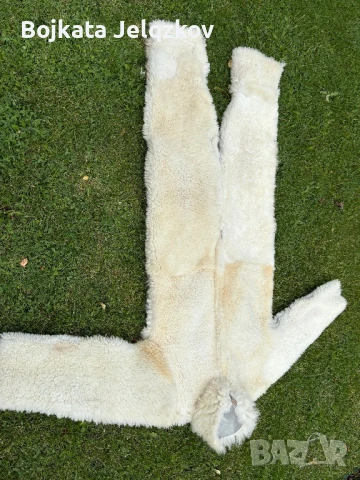 Сурвакарски костюм , снимка 6 - Костюми - 50741742