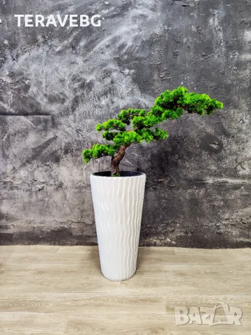 Изкуствени дървета и растения , снимка 18 - Декорация за дома - 48672472