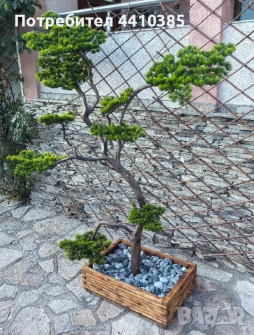 ръчно изработен бонсай Японски стил(уникат) , снимка 7 - Декорация за дома - 52833000