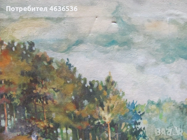 Красива Картина масло, платно , подпис, 50х40см., снимка 2 - Картини - 52573406