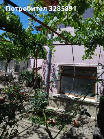 Къща в Мъглиж с двор 540кв.м., снимка 7 - Къщи - 51386470