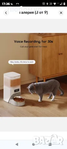 Автоматична хранилка за котки Faroro, 4L хранилка за котки с таймер за сок PF21, снимка 8 - За котки - 48742090