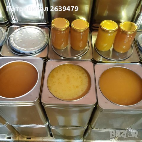 Пчелен мед на тенекии (полифлорен), снимка 1 - Пчелни продукти - 39117405
