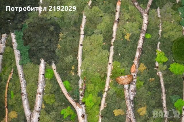 Зелена ДЕКОРАТИВНА СТЕНА от Скандинавски мъх „Гора“, снимка 3 - Други - 51513911