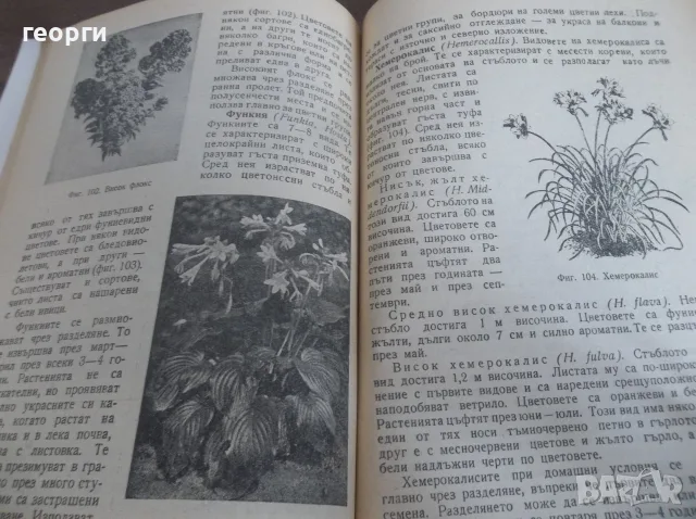 Книга за градиняря, снимка 6 - Други - 55780585