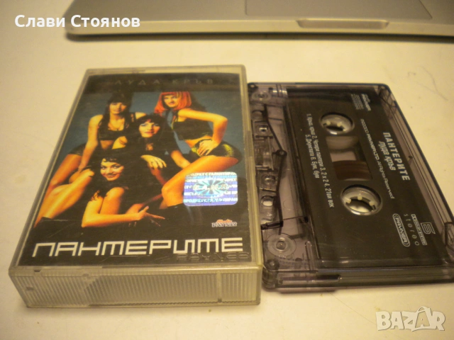 Пантерите и Малките пантери