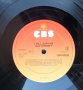 Ray Conniff – 1979 - I Will Survive(CBS – CBS 83934)(Jazz,Pop), снимка 3
