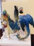 Порцеланова фигура-лот папагали фирма ЕНС (ENS) Германия-Тюрингия, снимка 1