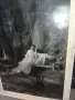 Фотография в рамка , снимка 2