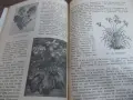 Книга за градиняря, снимка 6