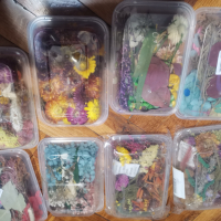 Микс сухи цветя в кутия за декорация натурални сапун сапуни свещи свещ бижу бижута смола аранжиране, снимка 9 - Изкуствени цветя - 36331627