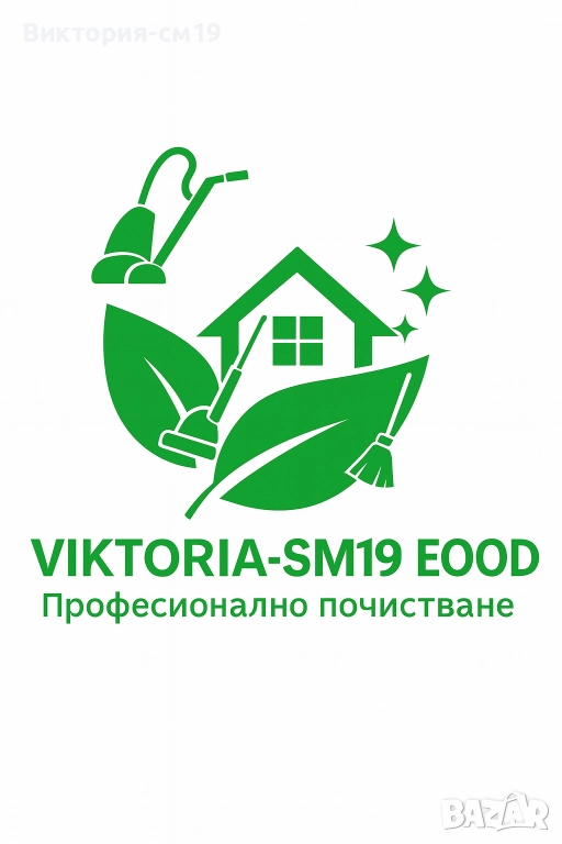 Професионално почистване, снимка 1